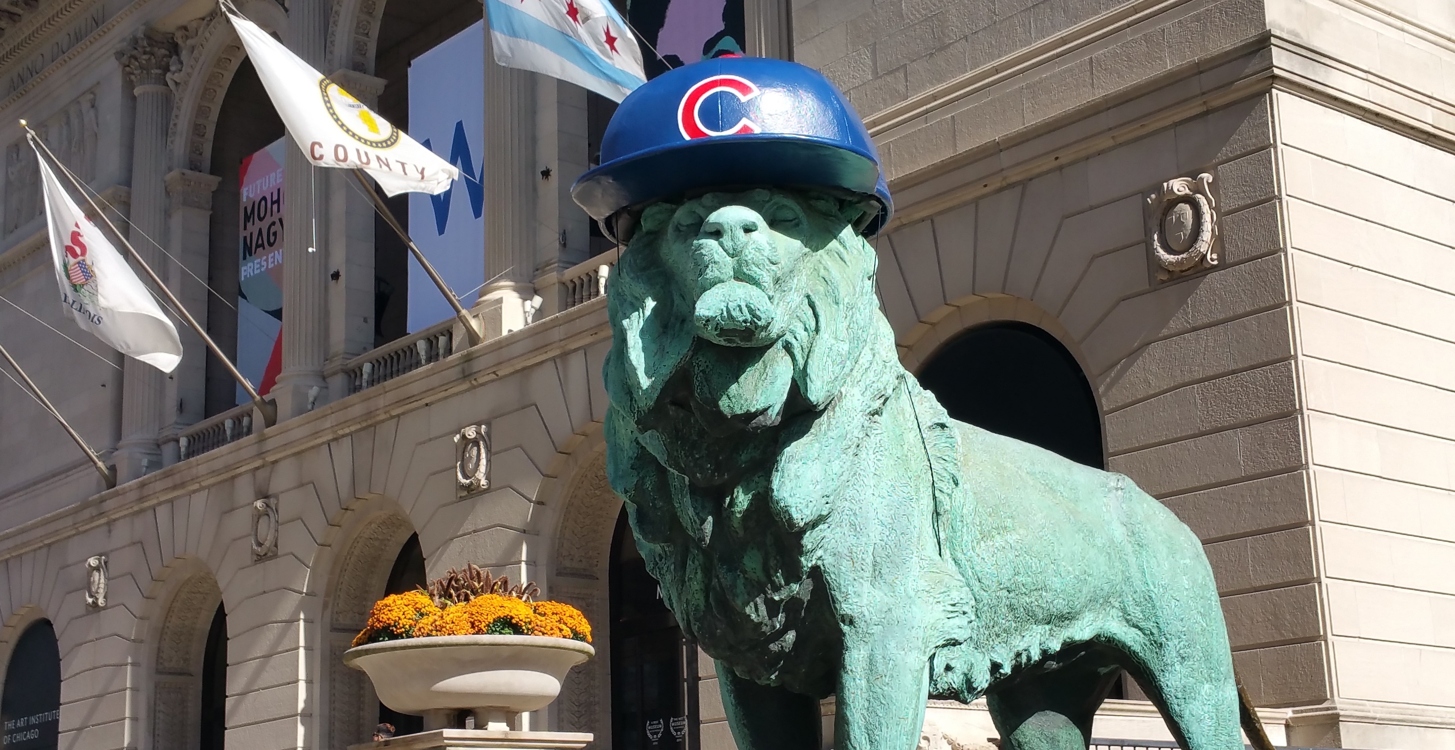 cubs-lion-art-institute